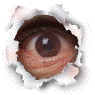 Authorities will find you Authorities will find you