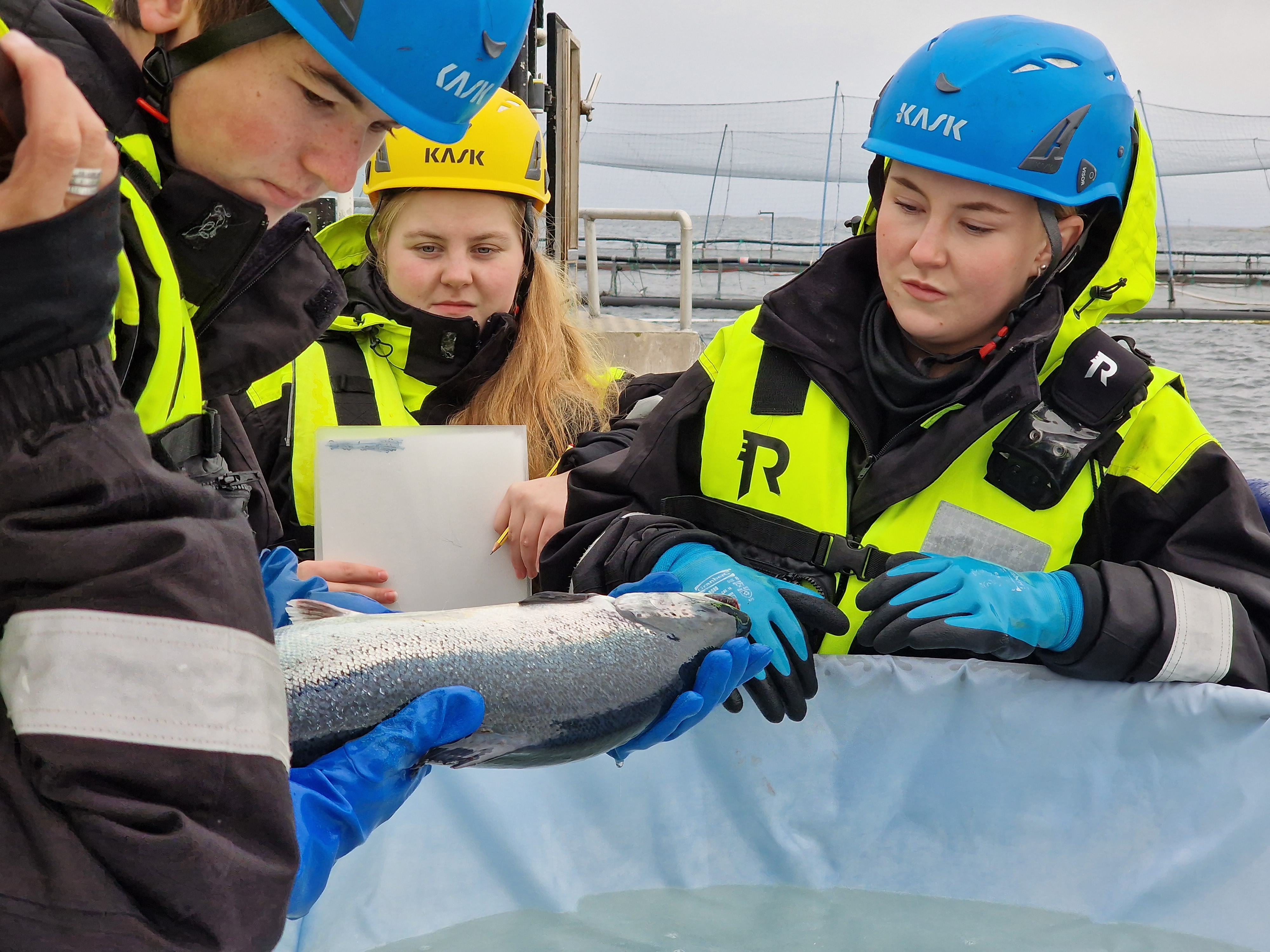 Aquaculture Skills Foresight Forum ASFF
