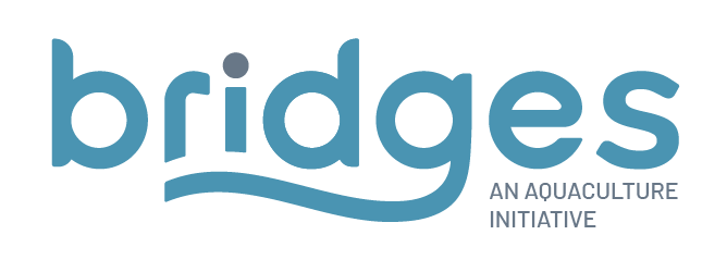 BRIDGES logo