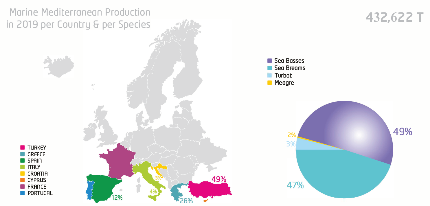 Marine Meditarranean Production 2019