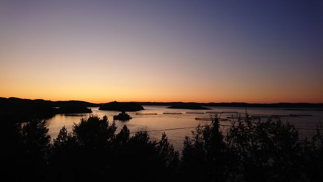 Aquaculture site in sunset