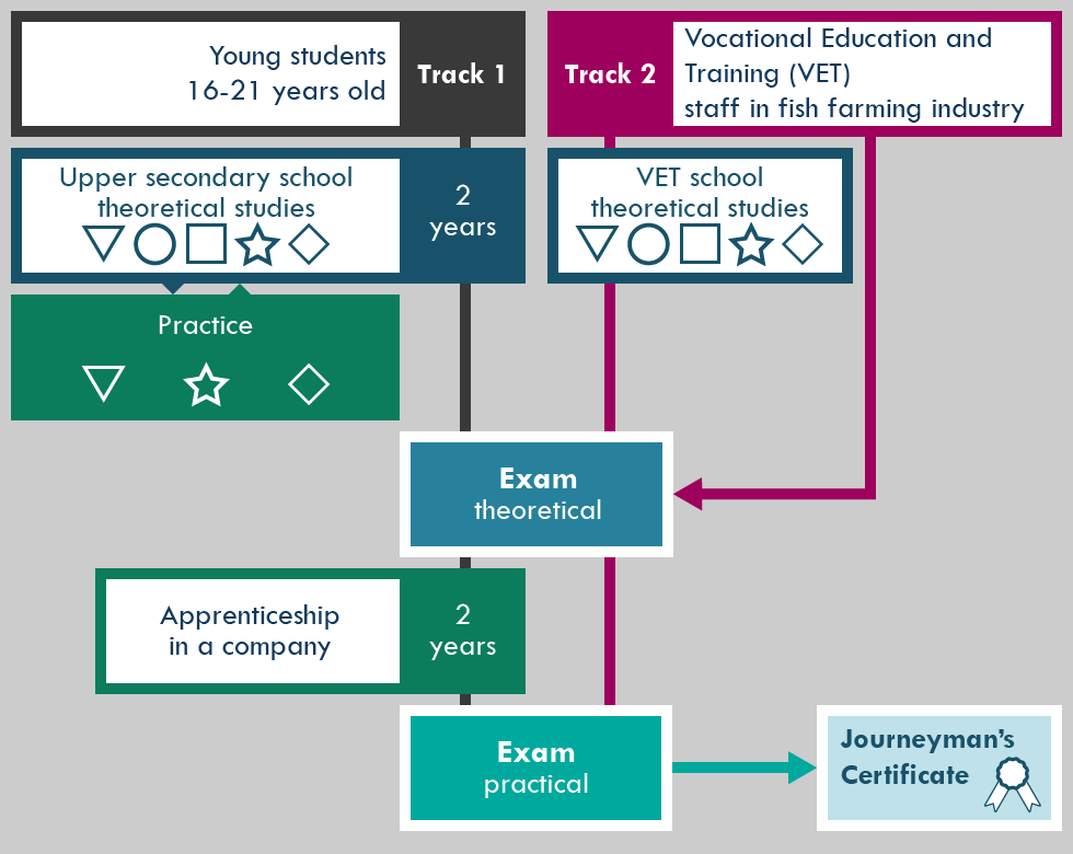 VET Structure Norway