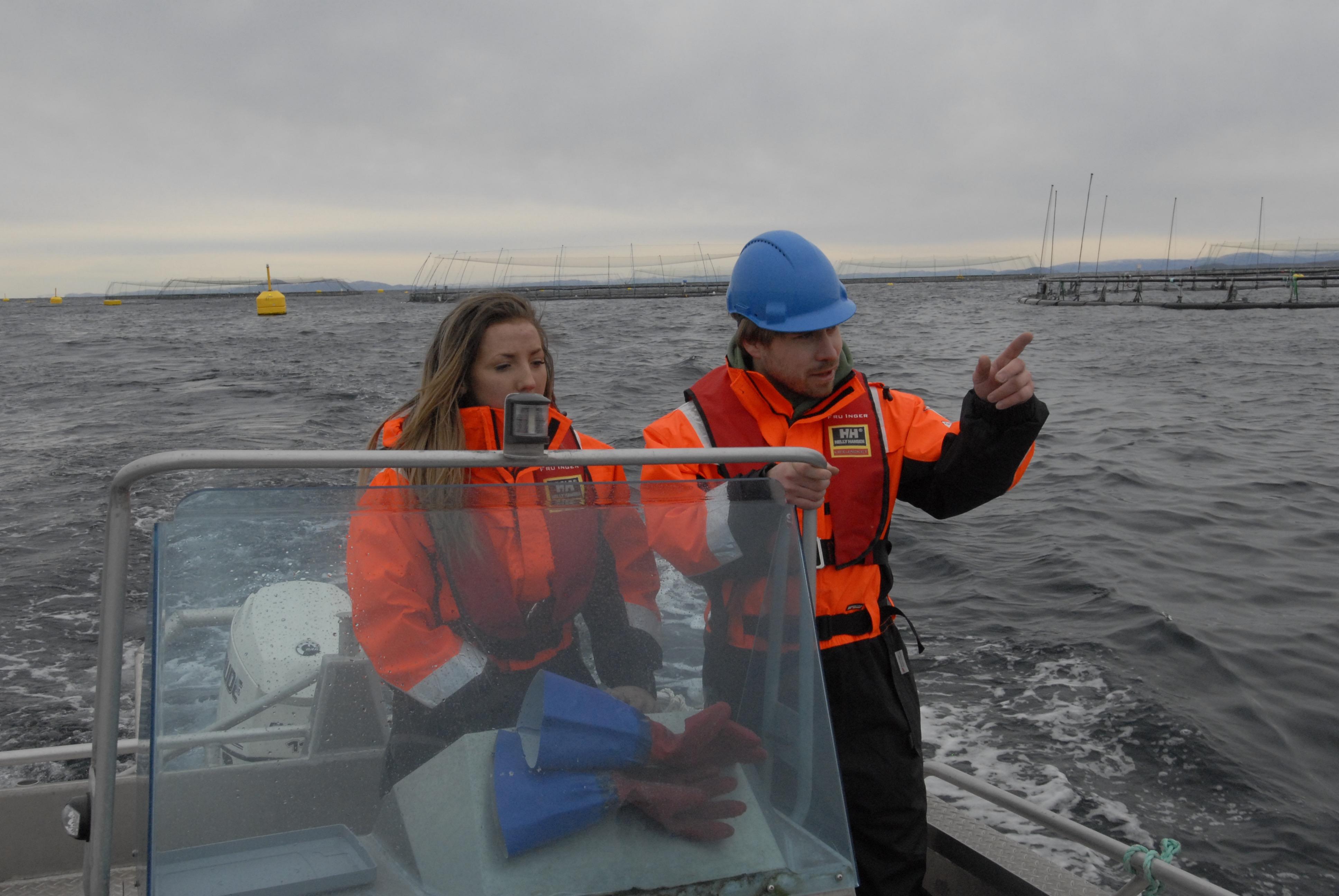 Inspecting a marine cage farm